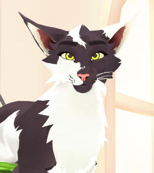 DovaCat by Tosca